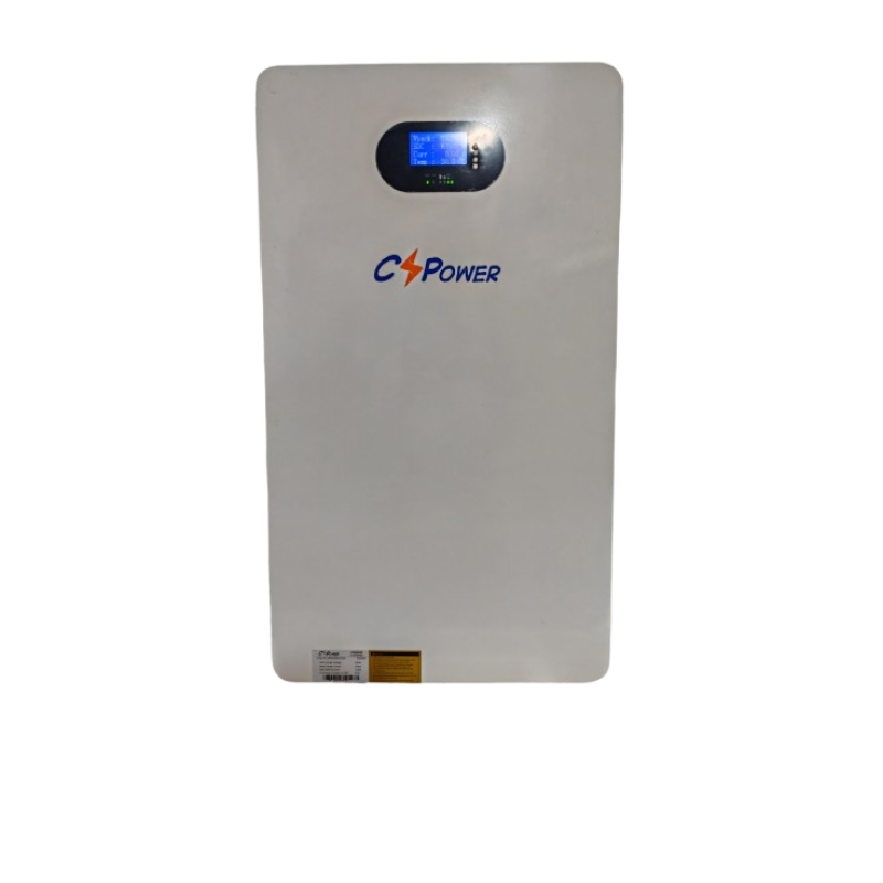 CS POWER LPW48V100 CS POWER LPW48V100