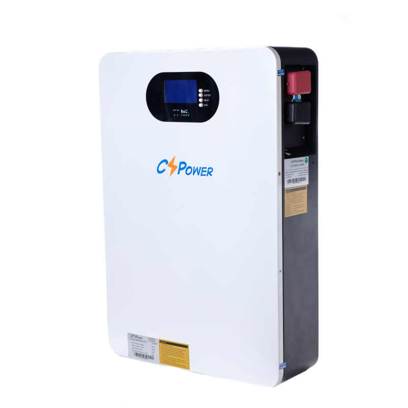 CS POWER LPW48V100 CS POWER LPW48V100