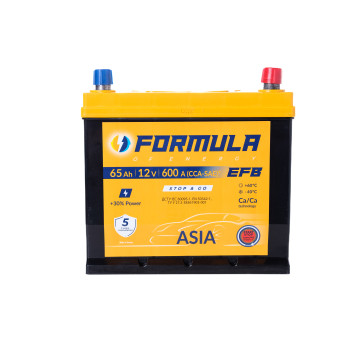  Formula of energy, Asia EFB Line , 6CT-65(0), 600А