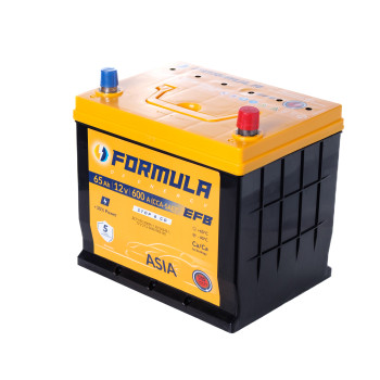  Formula of energy, Asia EFB Line , 6CT-65(0), 600А