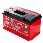 Акумулятор 6cт-110 А/г 920 Ампер R+ (0) Red Horse EFB Start&Stop